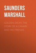 Golden Dicky, The Story of a Canary and His Friends (Marshall Saunders)