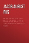 How the Other Half Lives: Studies Among the Tenements of New York (Jacob August Riis)
