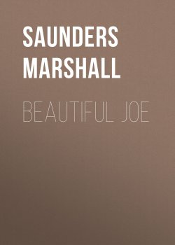 Книга "Beautiful Joe" – Marshall Saunders