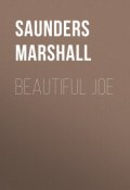 Beautiful Joe (Marshall Saunders)