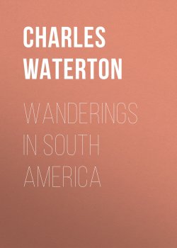 Книга "Wanderings in South America" – Charles Waterton