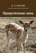 Прирученная лань (В. И. Жиглов, Жиглов В.)