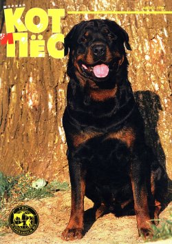 Книга "Кот и Пёс №08/1997" – , 1997