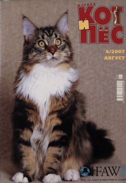 Книга "Кот и Пёс №6/2007" – , 2007