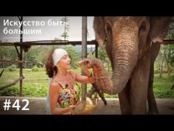 Книга "Слон: Искусство быть большим" – Евгения Тимонова