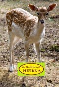 Нелька. Рассказы о природе (В. И. Жиглов, Жиглов В.)