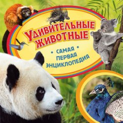 Книга "Удивительные животные" – , 2016