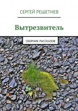 Книга "Вытрезвитель" – Сергей Решетнёв, 2015