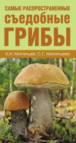 Книга "Самые распространенные съедобные грибы" – , 2015