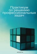 Практикум по решению профессиональных задач (С. В. Курашева, 2015)