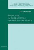 Вещные права на природные ресурсы: публичные и частные интересы (Ю. И. Шуплецова, Юлия Шуплецова, 2007)