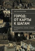 Город: от карты к шагам (Светлана Веселова)