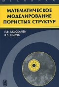 Математическое моделирование пористых структур (Виктор Шитов, 2007)