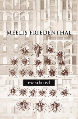 Книга "Mesilased" – Meelis Friedenthal, 2012