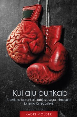 Книга "Kui aju puhkab. Praktiline teejuht ajukahjustusega inimesele ja tema lähedastele" – Kadri Mölder, 2015