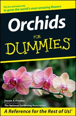 Книга "Orchids For Dummies" – The Arbinger Institute, The Book of Edef, The Davidson