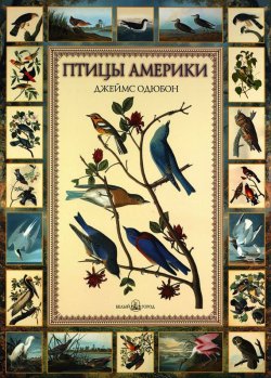 Книга "Птицы Америки" – Евгений Коблик, 2007