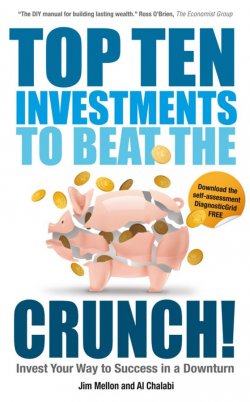 Книга "Top Ten Investments to Beat the Crunch!. Invest Your Way to Success even in a Downturn" – 