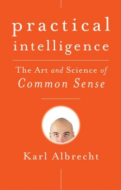 Книга "Practical Intelligence. The Art and Science of Common Sense" – 