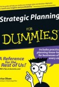 Strategic Planning For Dummies ()