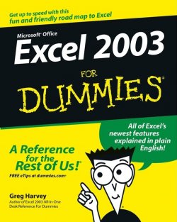 Книга "Excel 2003 For Dummies" – 