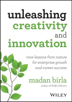 Книга "Unleashing Creativity and Innovation. Nine Lessons from Nature for Enterprise Growth and Career Success" – 