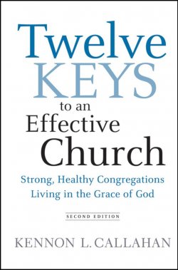 Книга "Twelve Keys to an Effective Church. Strong, Healthy Congregations Living in the Grace of God" – 