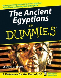 Книга "The Ancient Egyptians For Dummies" – 