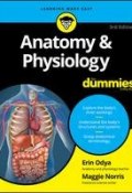 Anatomy and Physiology For Dummies ()