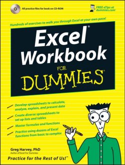 Книга "Excel Workbook For Dummies" – 