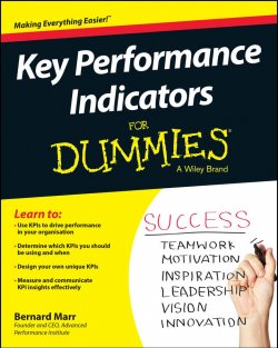Книга "Key Performance Indicators For Dummies" – 