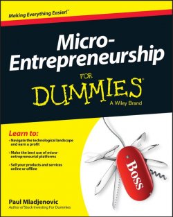 Книга "Micro-Entrepreneurship For Dummies" – 