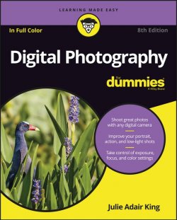 Книга "Digital Photography For Dummies" – 