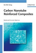 Carbon Nanotube Reinforced Composites. Metal and Ceramic Matrices ()