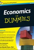 Economics For Dummies ()