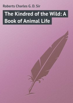 Книга "The Kindred of the Wild: A Book of Animal Life" – Charles Roberts