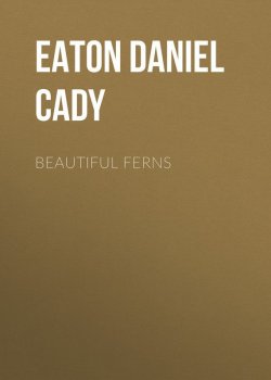 Книга "Beautiful Ferns" – Daniel Eaton