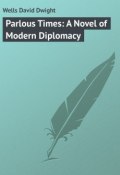 Parlous Times: A Novel of Modern Diplomacy (David Wells)