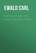 The Queen Bee, and Other Nature Stories (Carl Ewald)