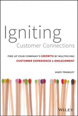 Книга "Igniting Customer Connections. Fire Up Your Companys Growth By Multiplying Customer Experience and Engagement" – 