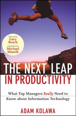 Книга "The Next Leap in Productivity. What Top Managers Really Need to Know about Information Technology" – 