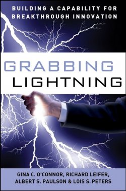 Книга "Grabbing Lightning. Building a Capability for Breakthrough Innovation" – 