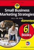 Small Business Marketing Strategies All-In-One For Dummies ()