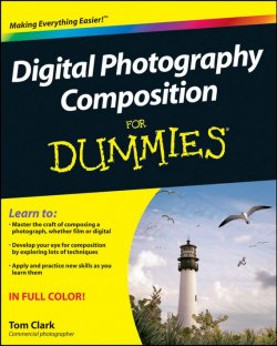 Книга "Digital Photography Composition For Dummies" – 