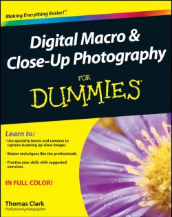 Книга "Digital Macro and Close-Up Photography For Dummies" – 
