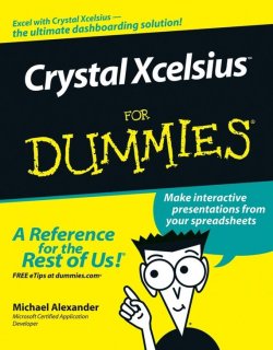 Книга "Crystal Xcelsius For Dummies" – 