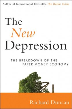 Книга "The New Depression. The Breakdown of the Paper Money Economy" – 