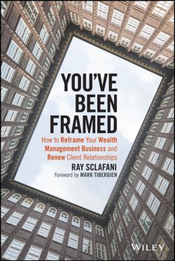 Книга "Youve Been Framed. How to Reframe Your Wealth Management Business and Renew Client Relationships" – 