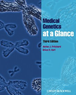 Книга "Medical Genetics at a Glance" – 