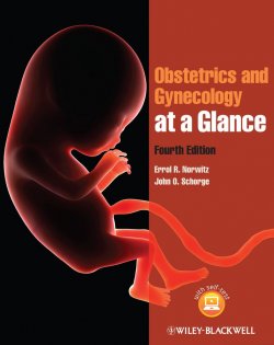 Книга "Obstetrics and Gynecology at a Glance" – 